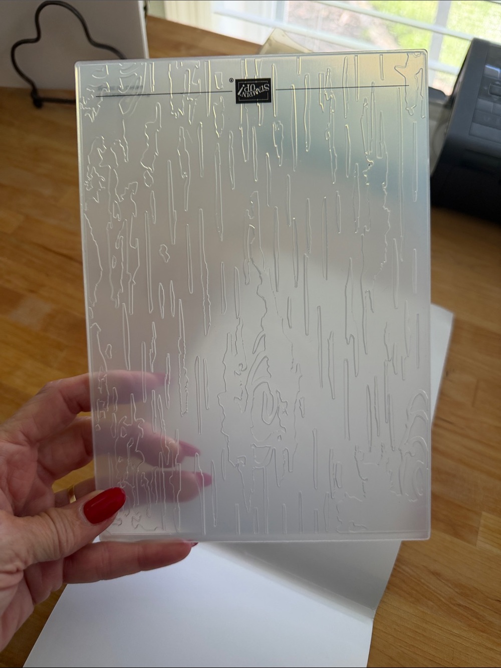 RETIRED Stampin' Up! Cut & Emboss Birch Wood Embossing Folder - NEW - Picture 2 of 3